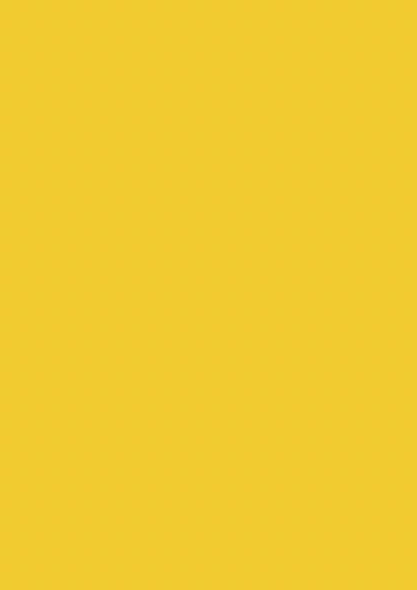 Пристенная панель 1248/S Ярко-желтый