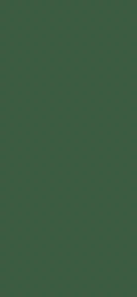 Пристенная панель 1082/8 Темно зеленый